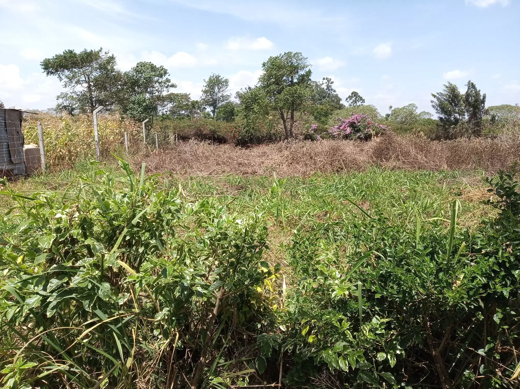 Land for sale in Kiambu Image