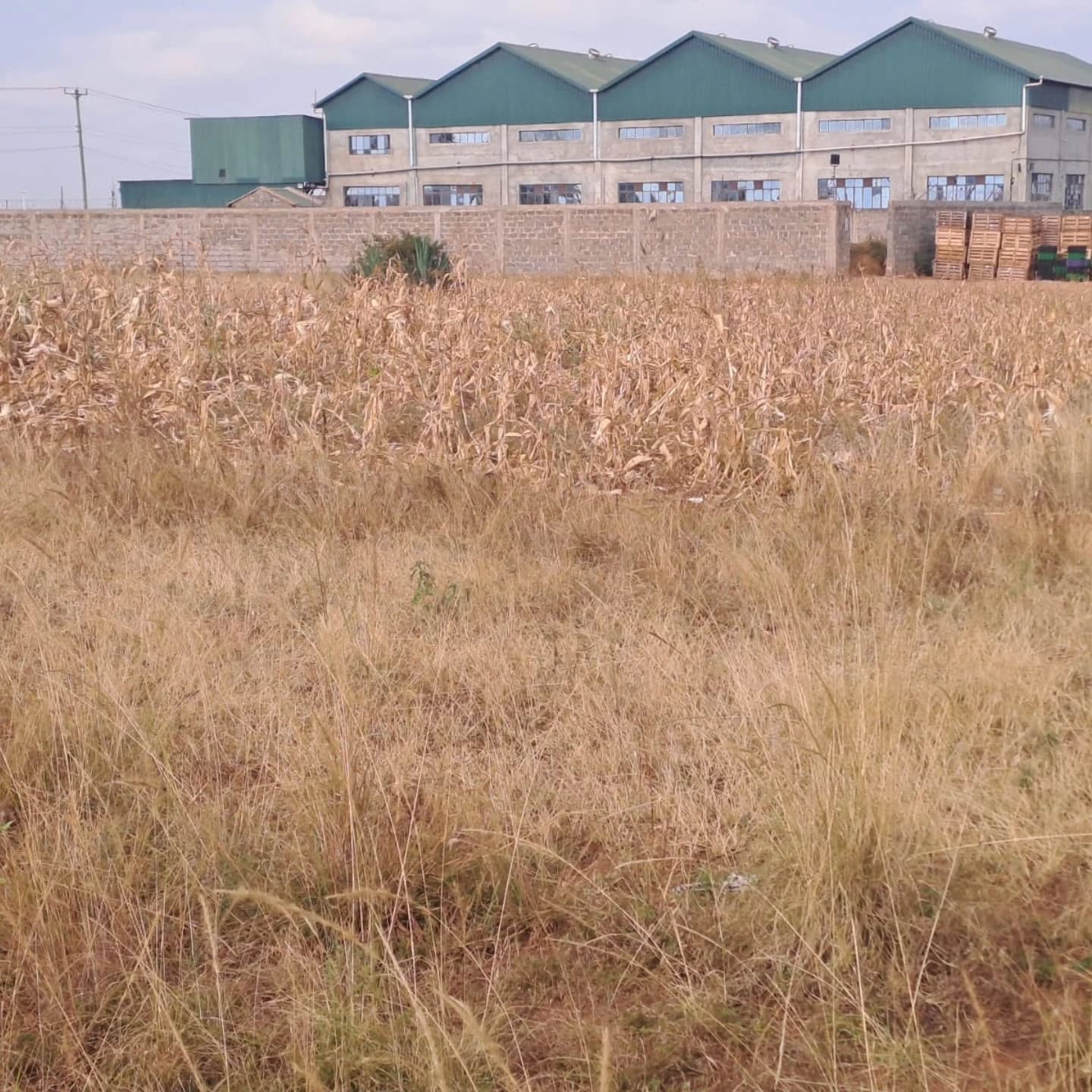 1/2 Acre Industrial Plot for Sale in  Thika Industrial Park