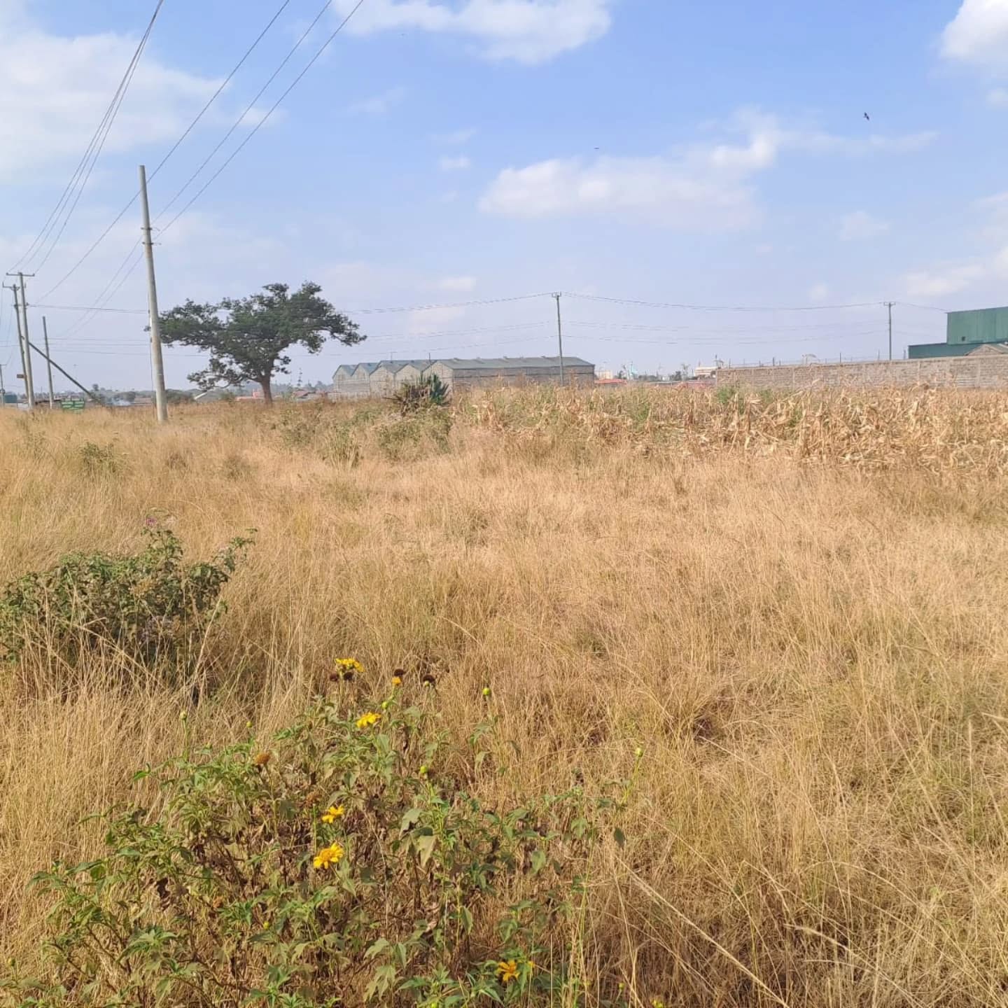 1/2 Acre Industrial Plot for Sale in Thika Industrial Park Image