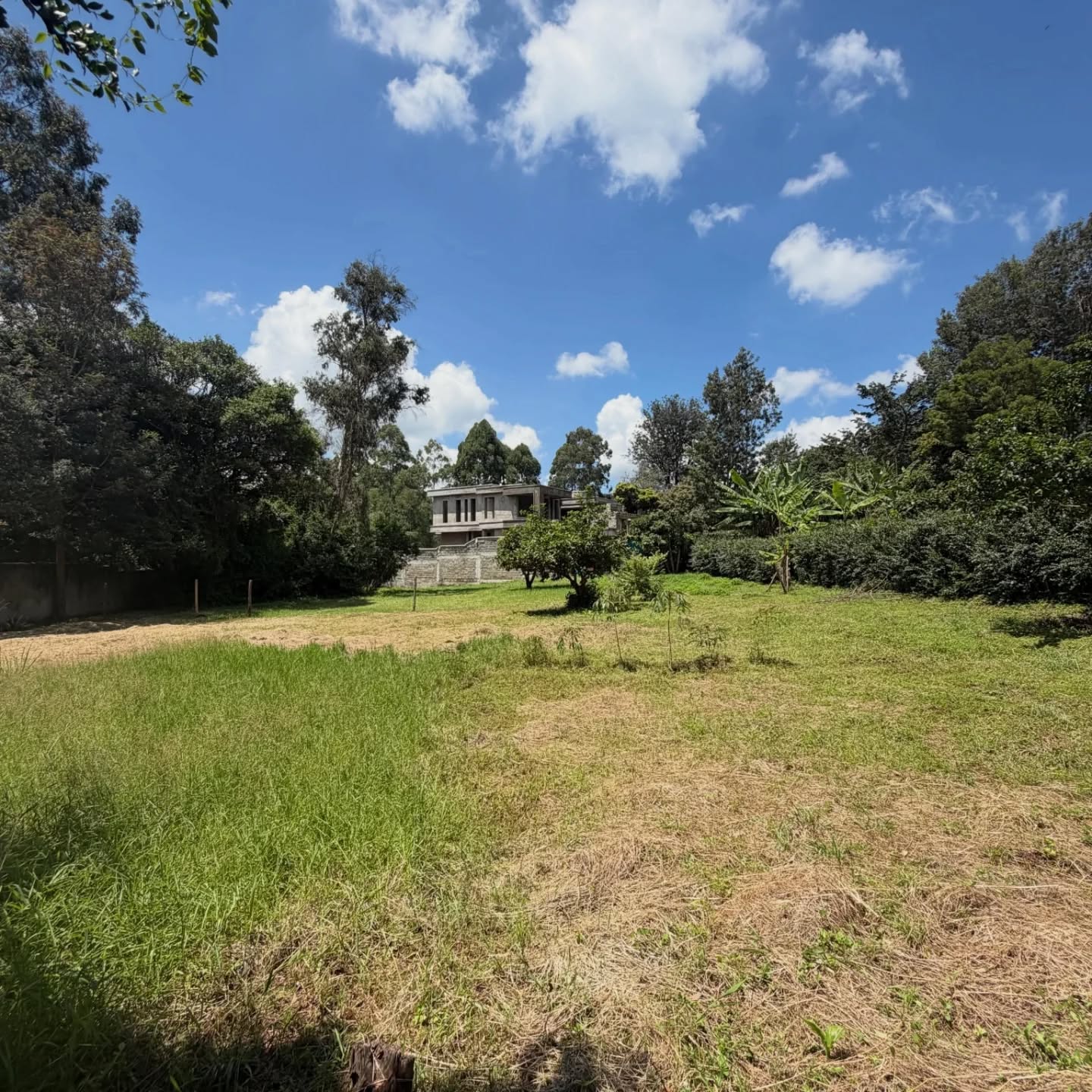1/2 Acre Land for Sale in Karen Image