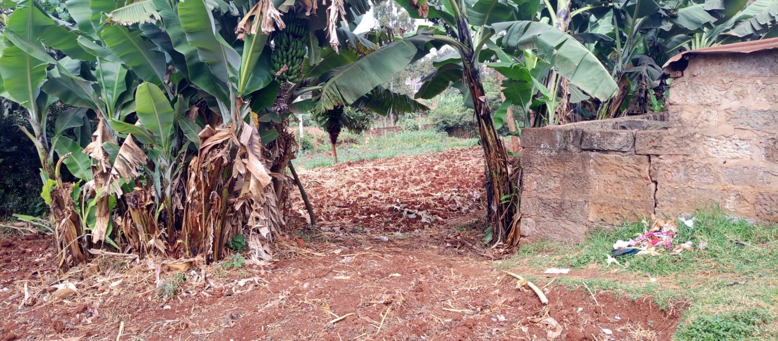 1.2 acre land for sale in Lower Kabete