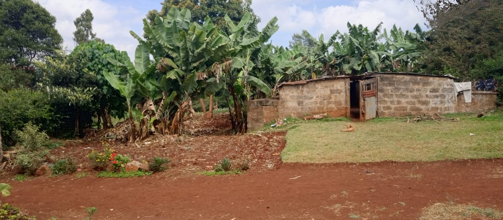 1.2 acre land for sale in Lower Kabete Image