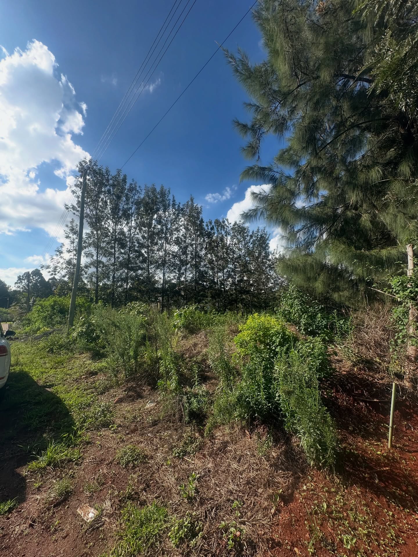 1/2 Acre Land for Sale in Mushroom Gardens – Kiambu Road