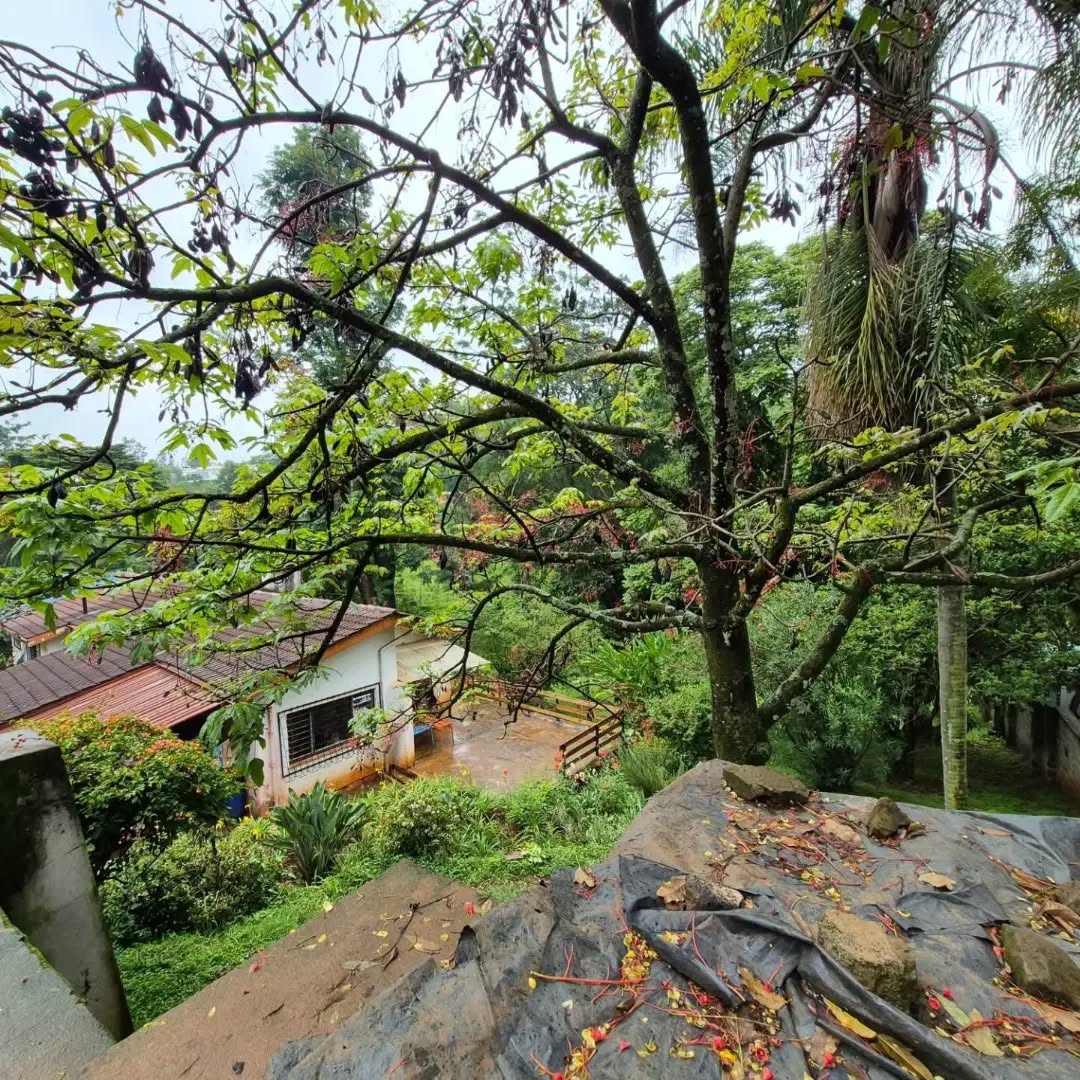 1.2 Acre land for sale in Thigiri Image