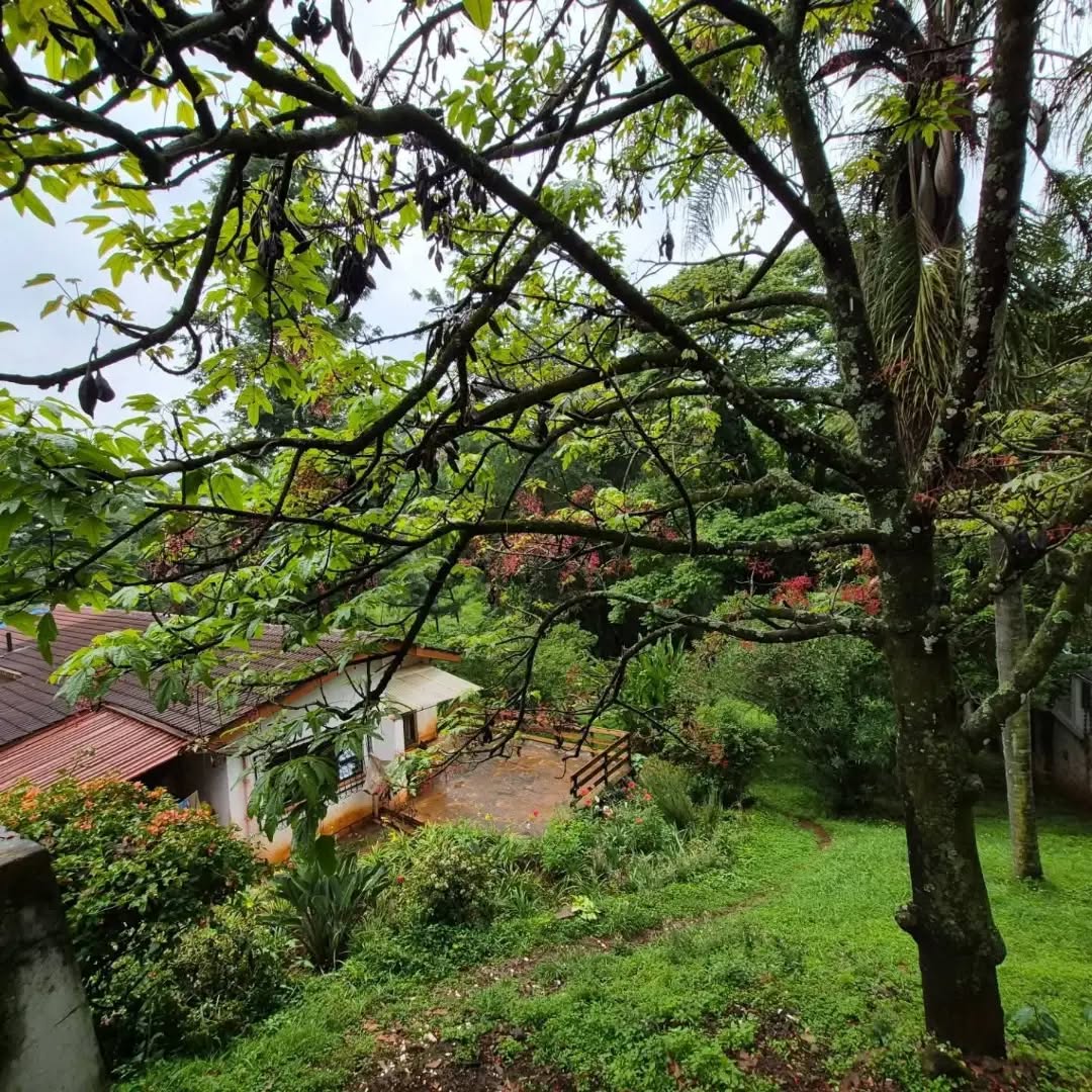 1.2 Acre land for sale in Thigiri