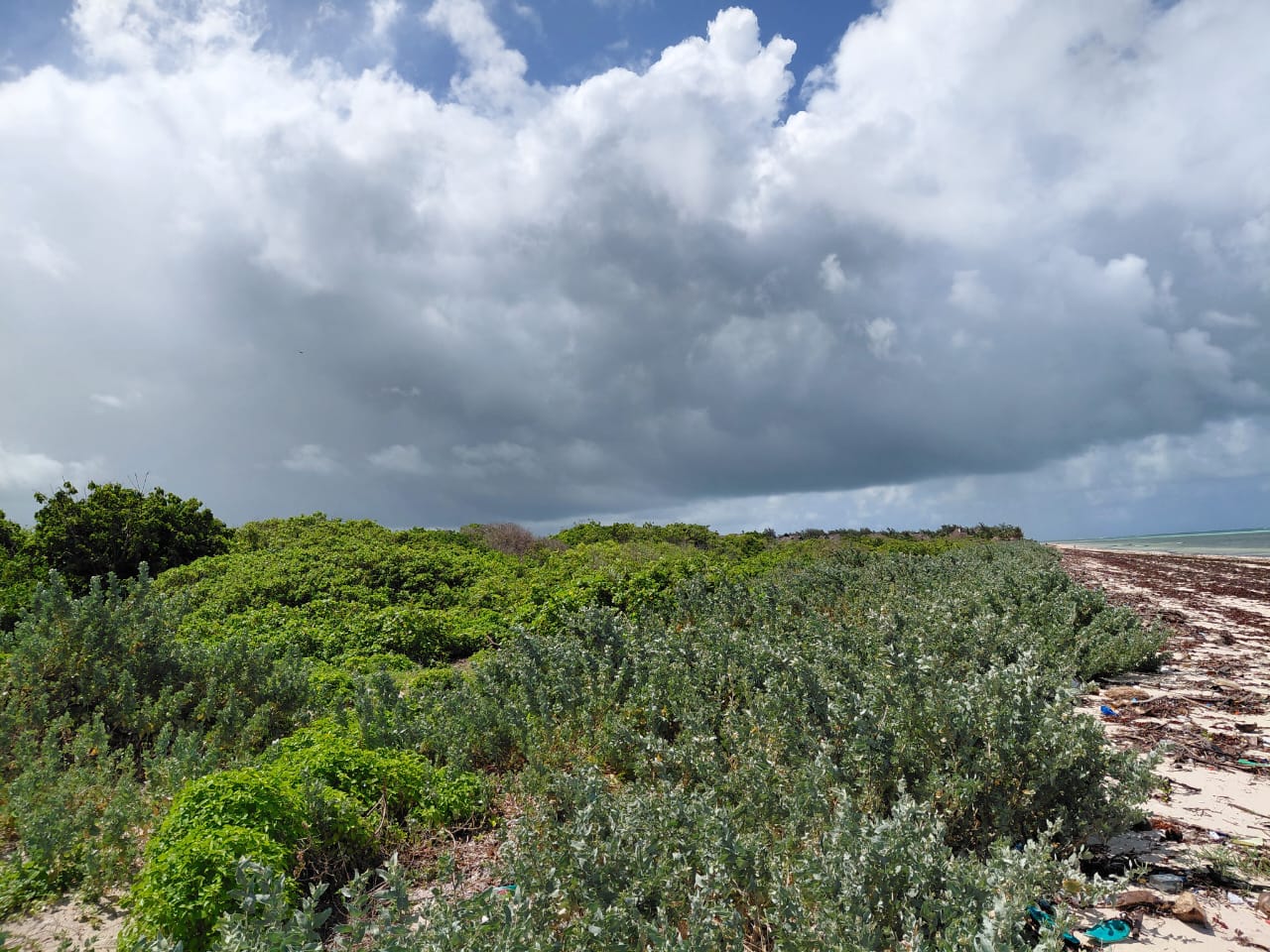 12 acre land for sale in Watamu Image