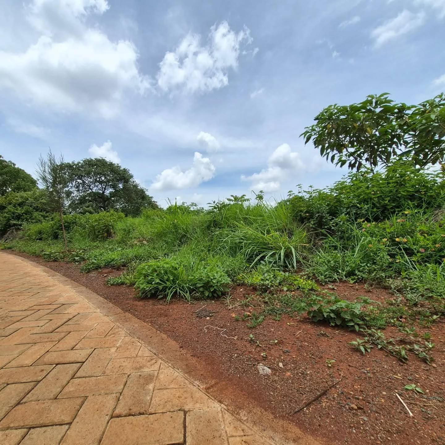 1/2 Acre Plot for Sale in Kijani Ridge Tatu City