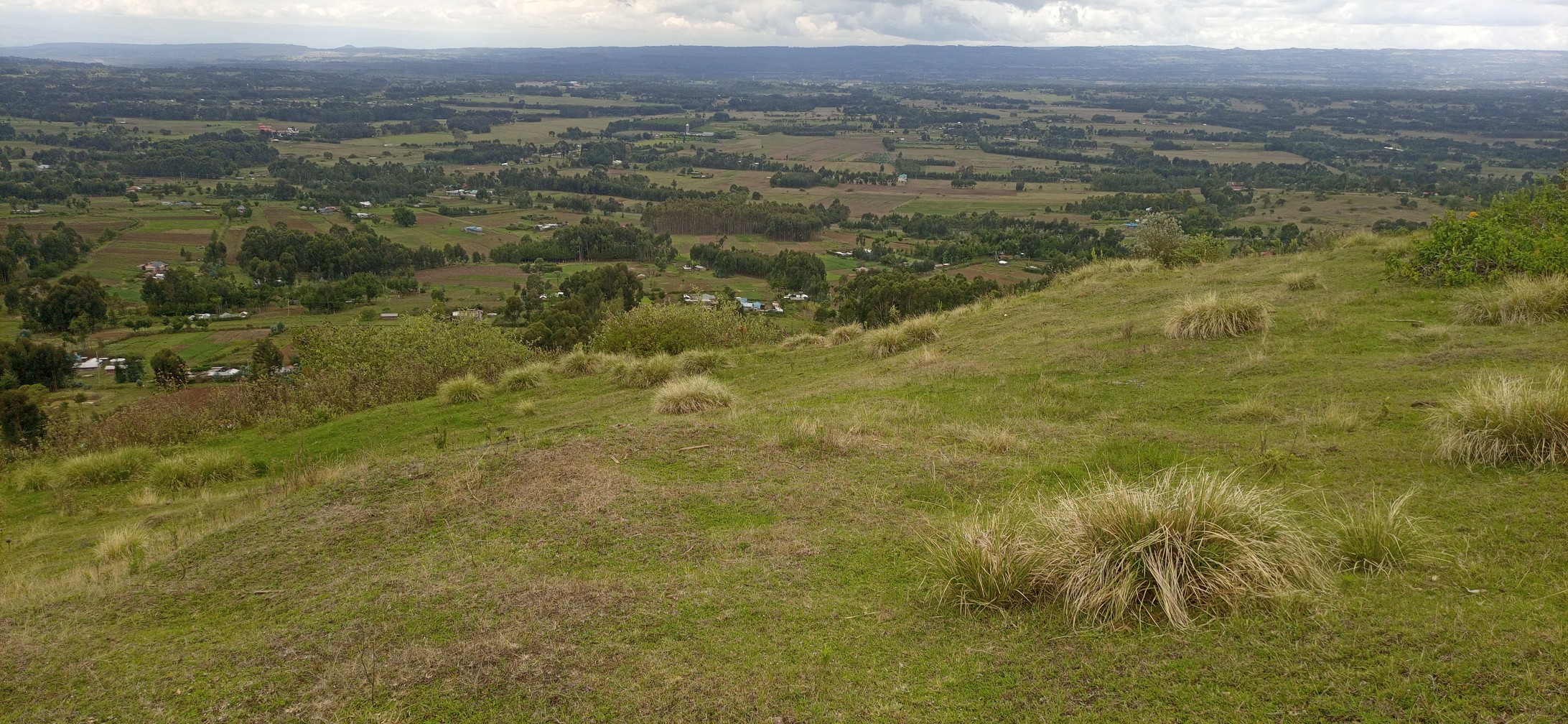 12 acre land for sale in Ol Kalou Nyandarua