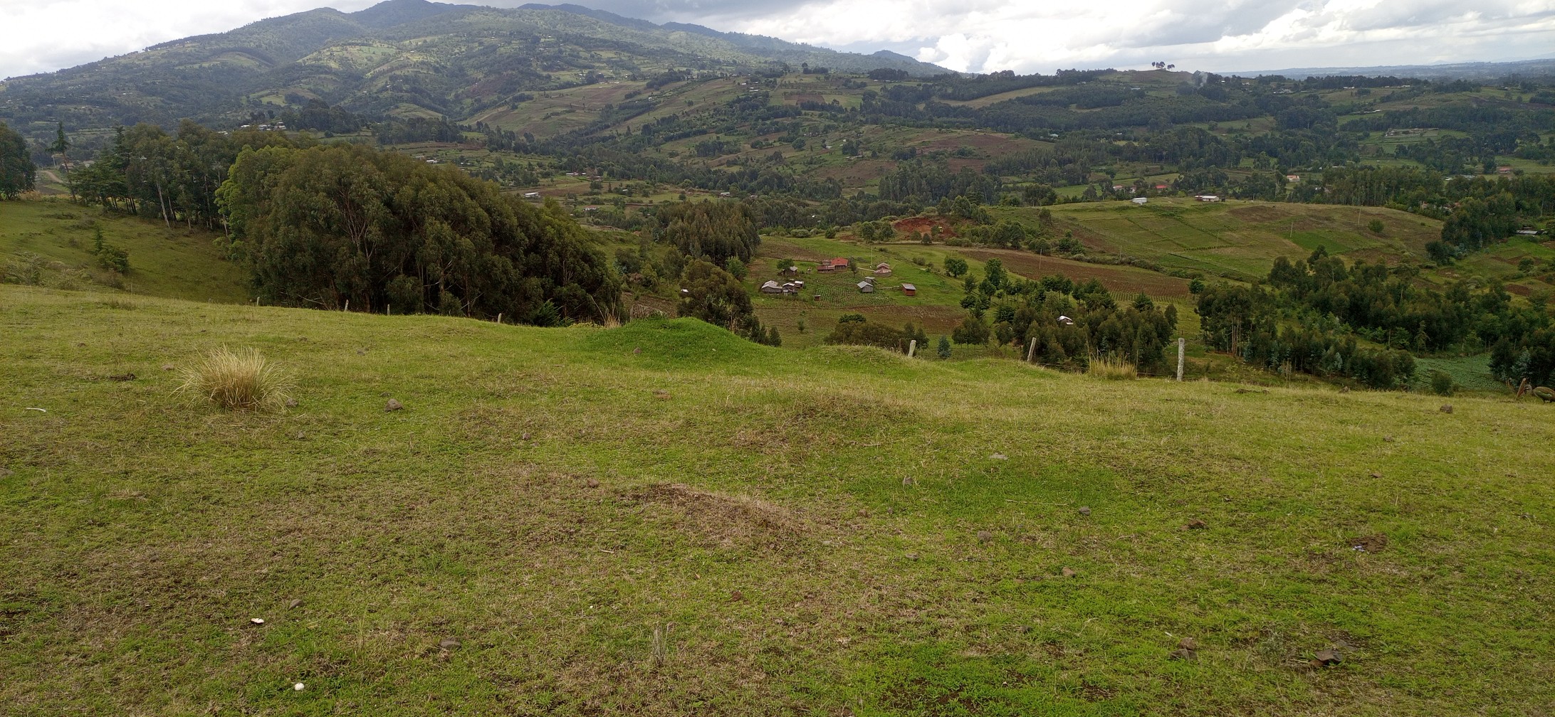12 acre plot for sale in Ol Kalou Nyandarua Image