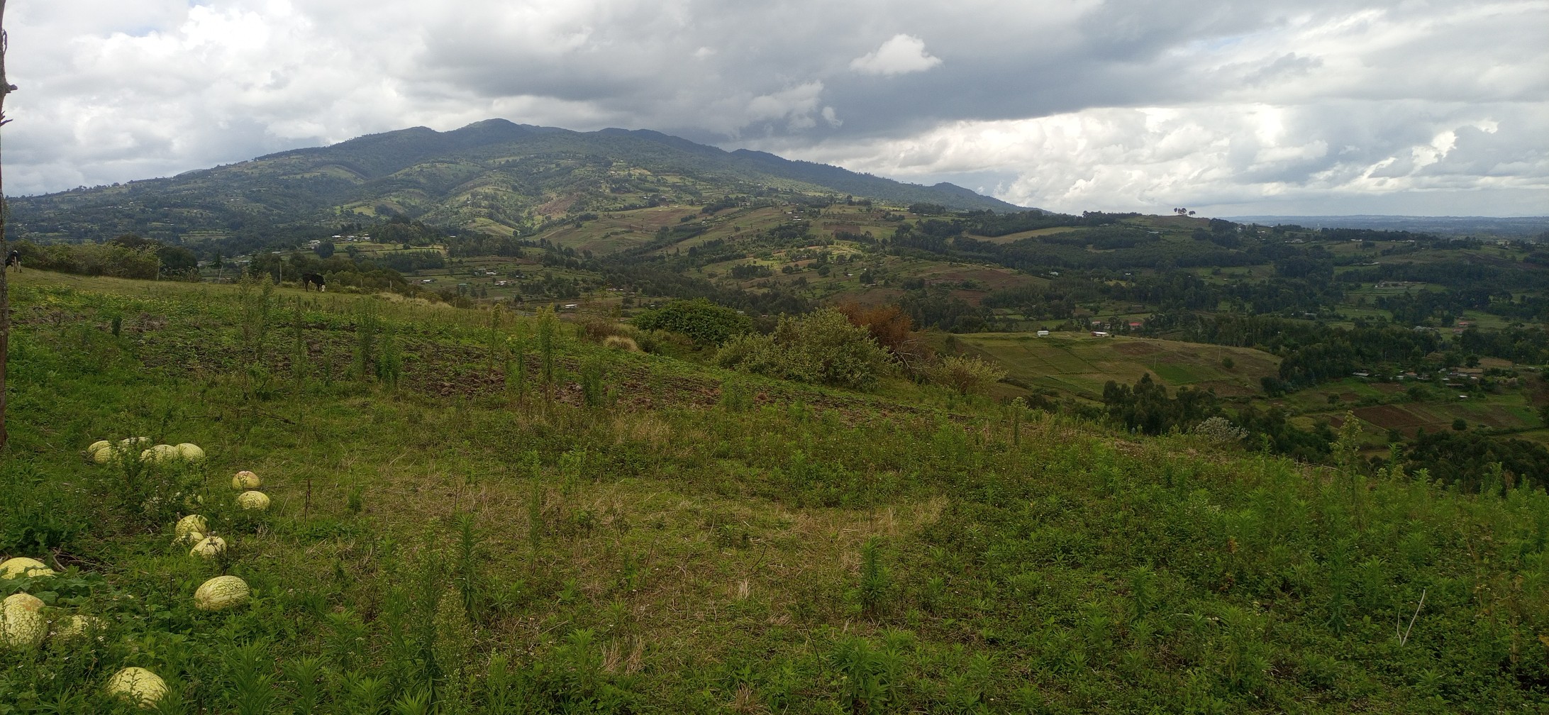 12 acre plot for sale in Ol Kalou Nyandarua Image