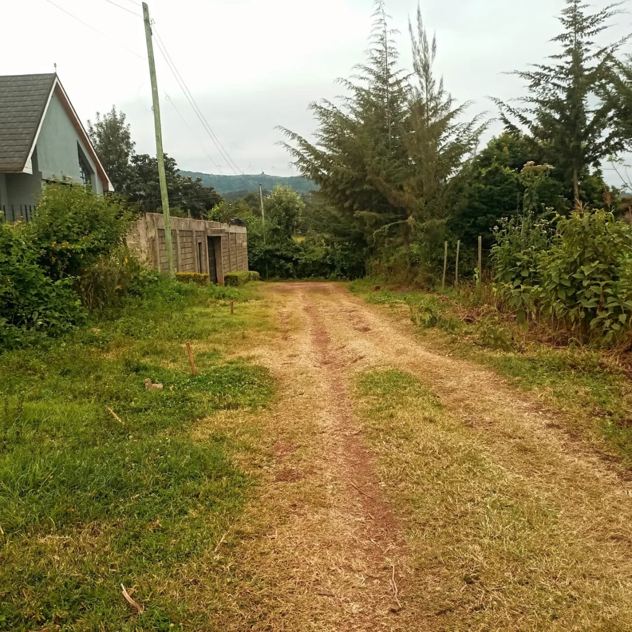 1/2 Acre Plot For Sale in Red hill