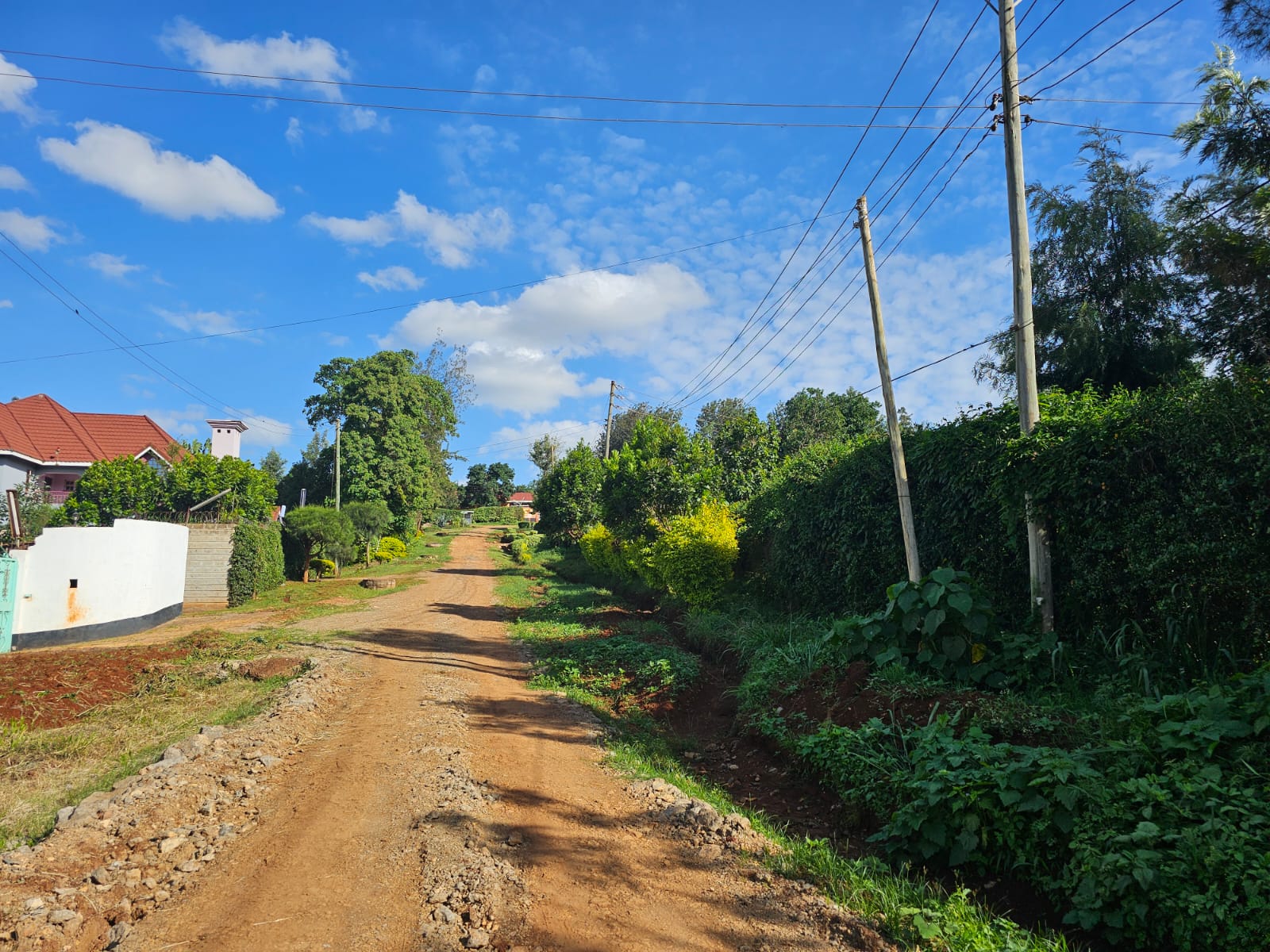 1/2 Acre Plot For Sale in Thome Image