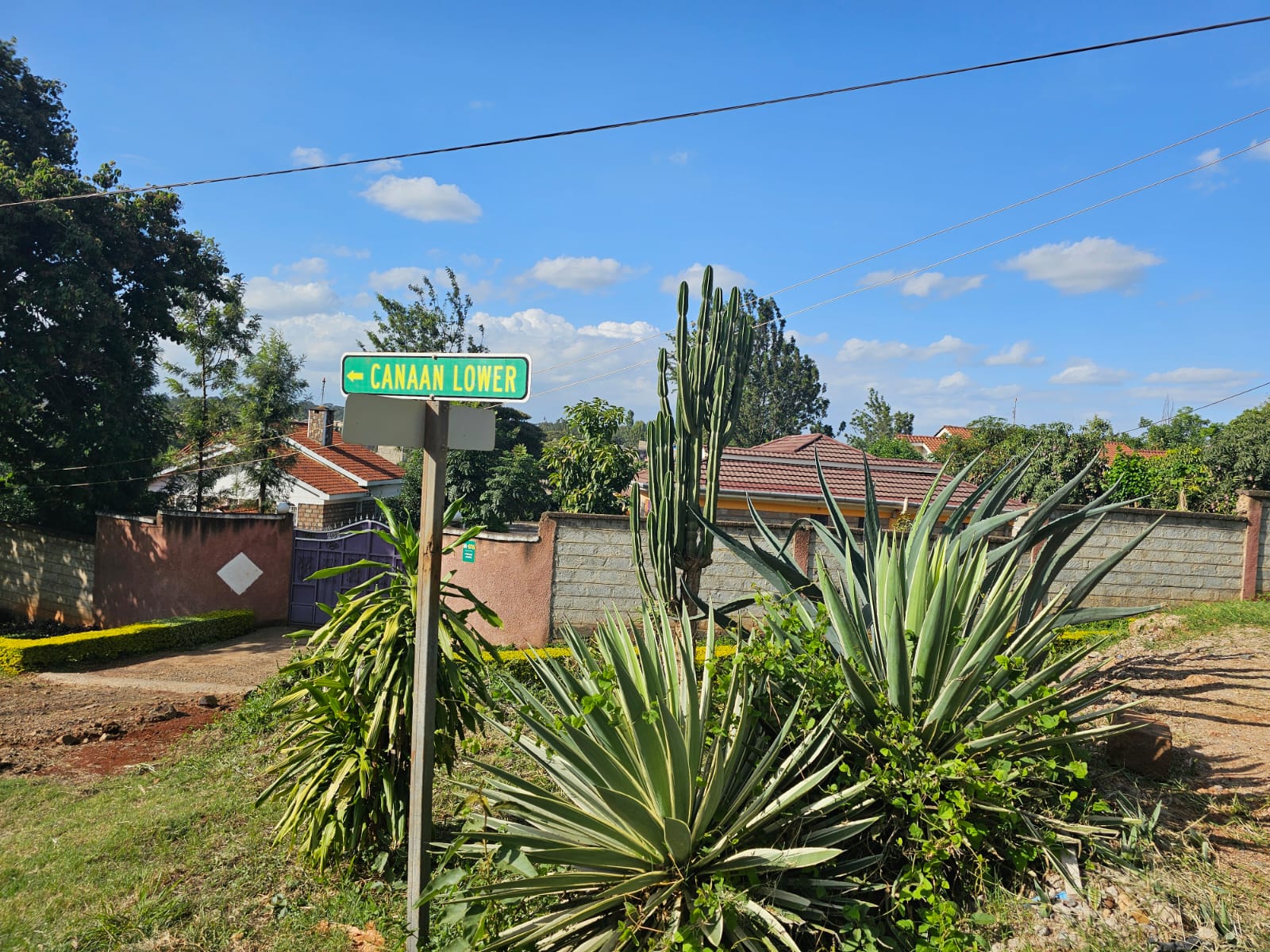 1/2 Acre Plot For Sale in Thome