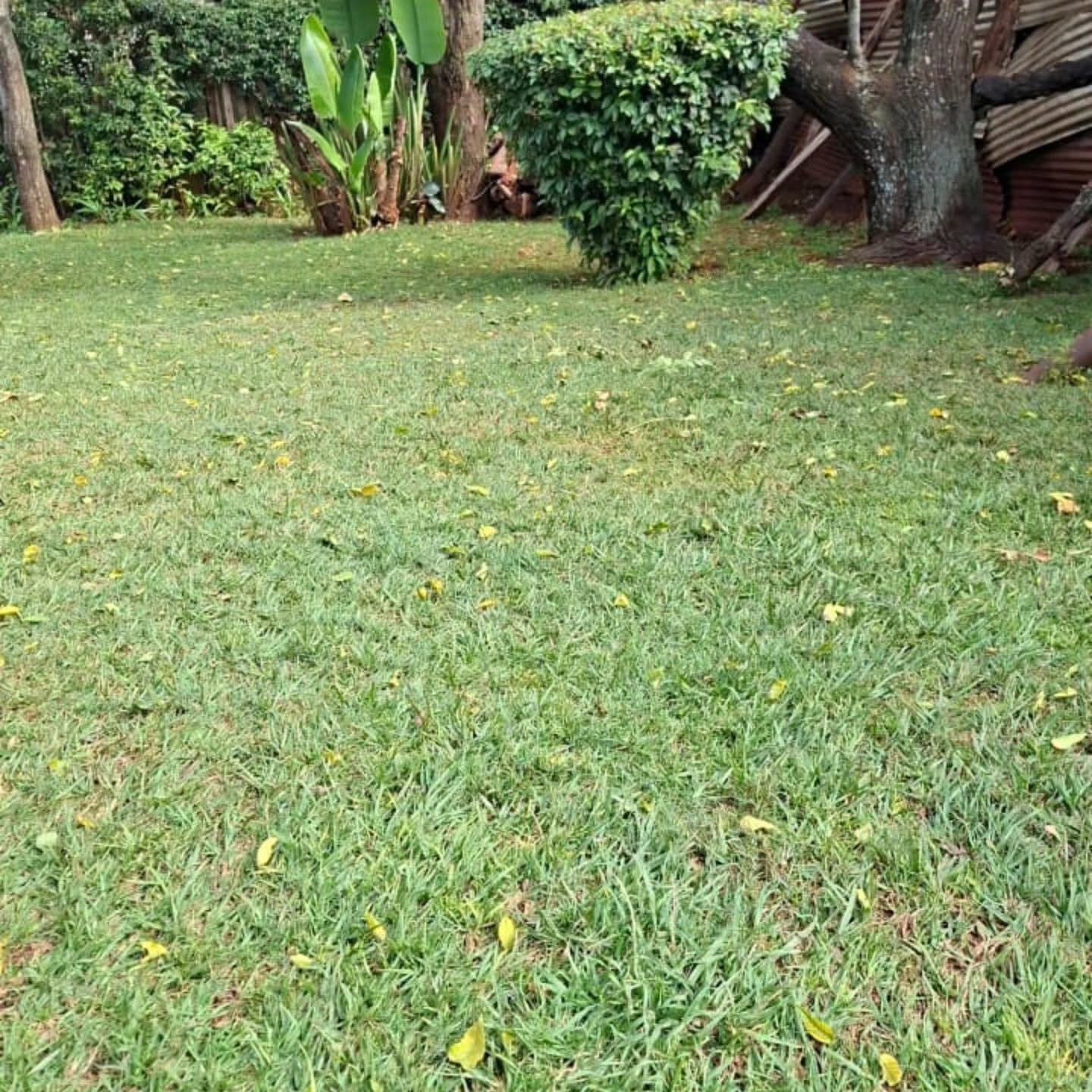 1/2 acre plot for sale touching Mvuli Road, Westlands,