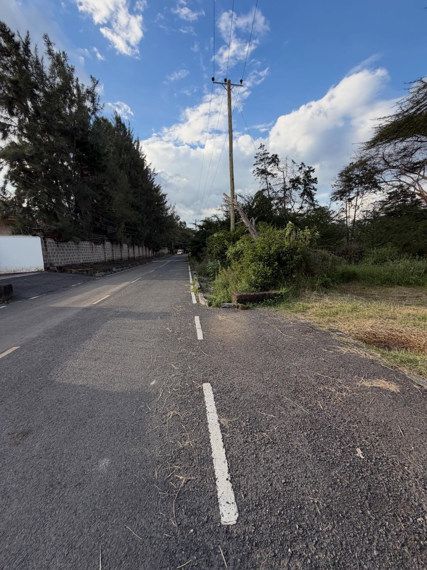 1/2 Acre Plots for Sale in Karen, Bogani East