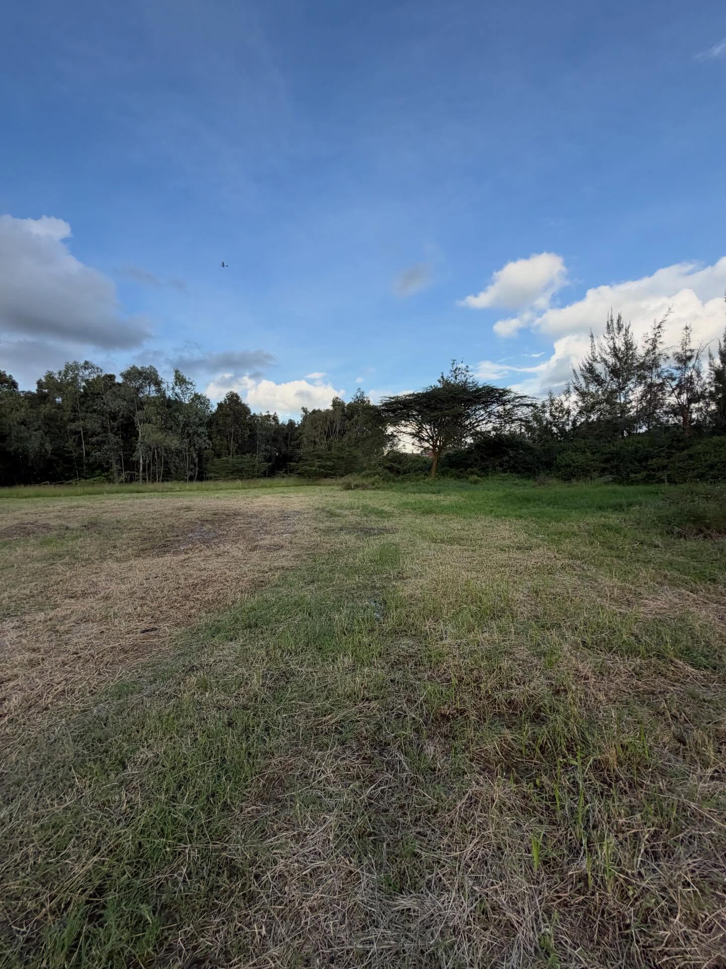 1/2 Acre Plots for Sale in Karen, Bogani East Image