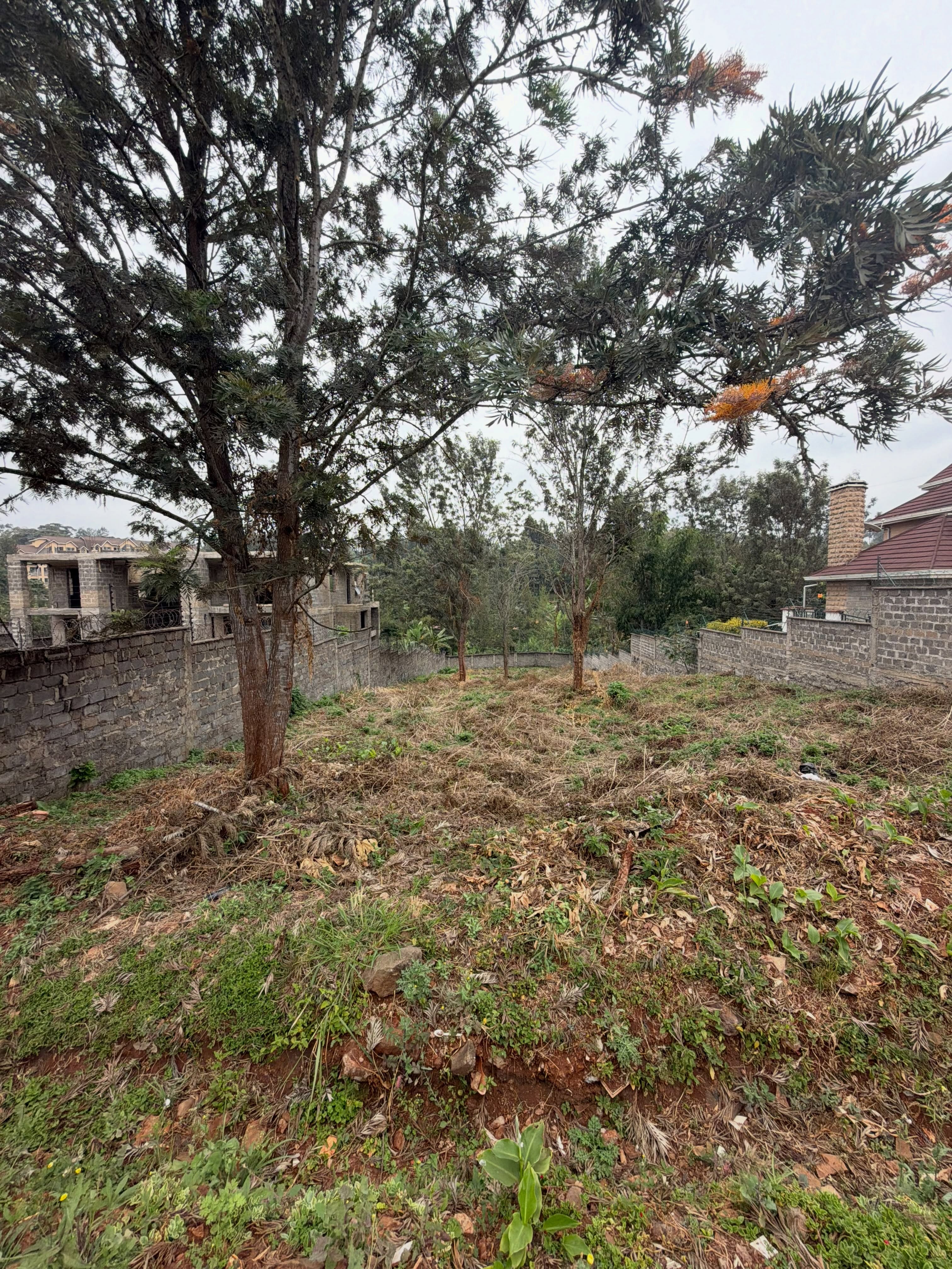 1/2 Acre Plots for Sale in mushroom estate, kiambu road