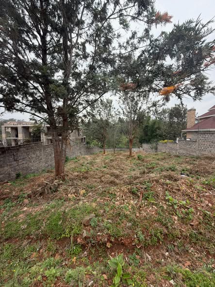 1/2 Acre Plots for Sale in mushroom estate, kiambu road Image