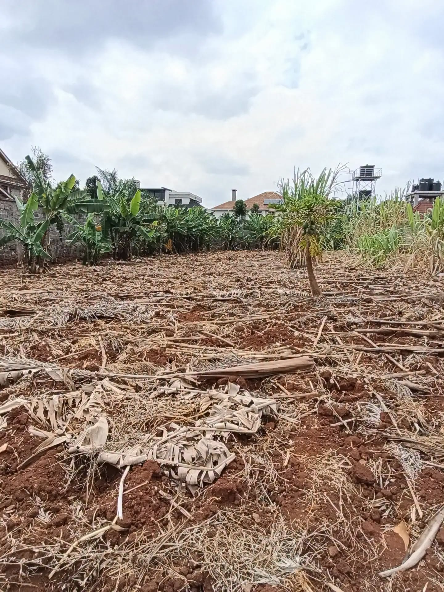 1/2 an acre land for sale in kiambu road Image