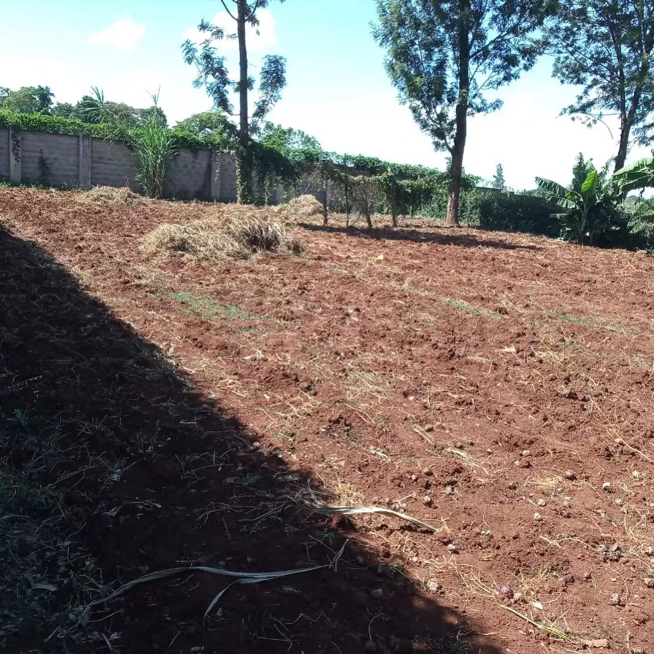 Land for sale in Runda Mhasibu Image