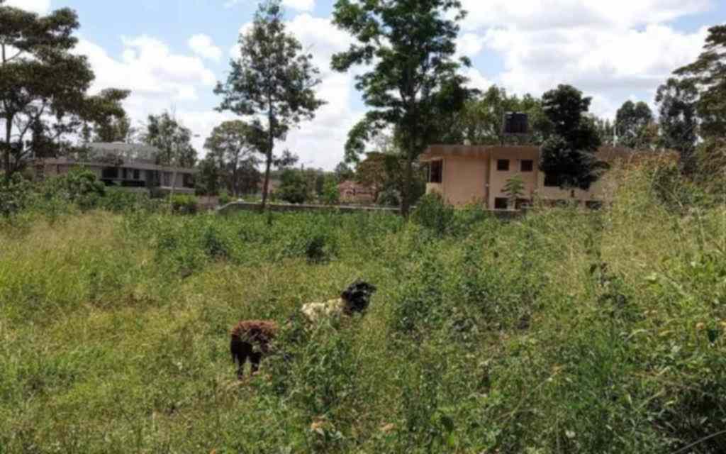 plot for sale in Garden estate