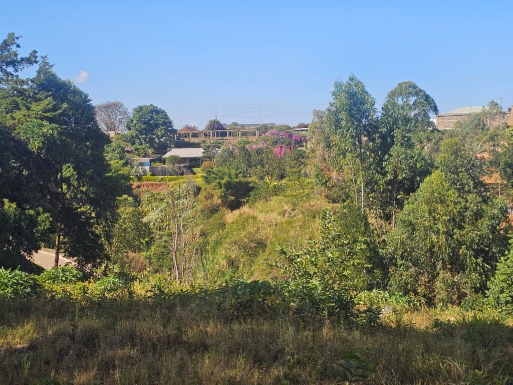 1.25 Acres for sale – Fronting Limuru Rd, Near Two Rivers Image