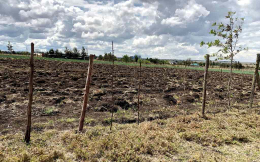 Land for sale in Kitengela Kisaju