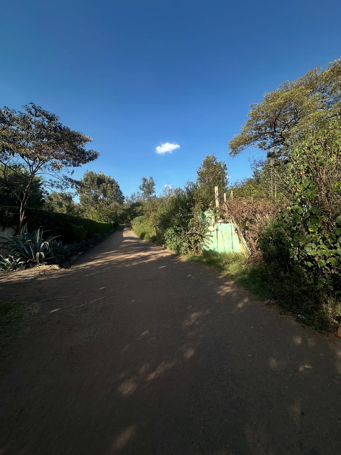 1.26 Acre Prime Land for Sale in Karen Hardy