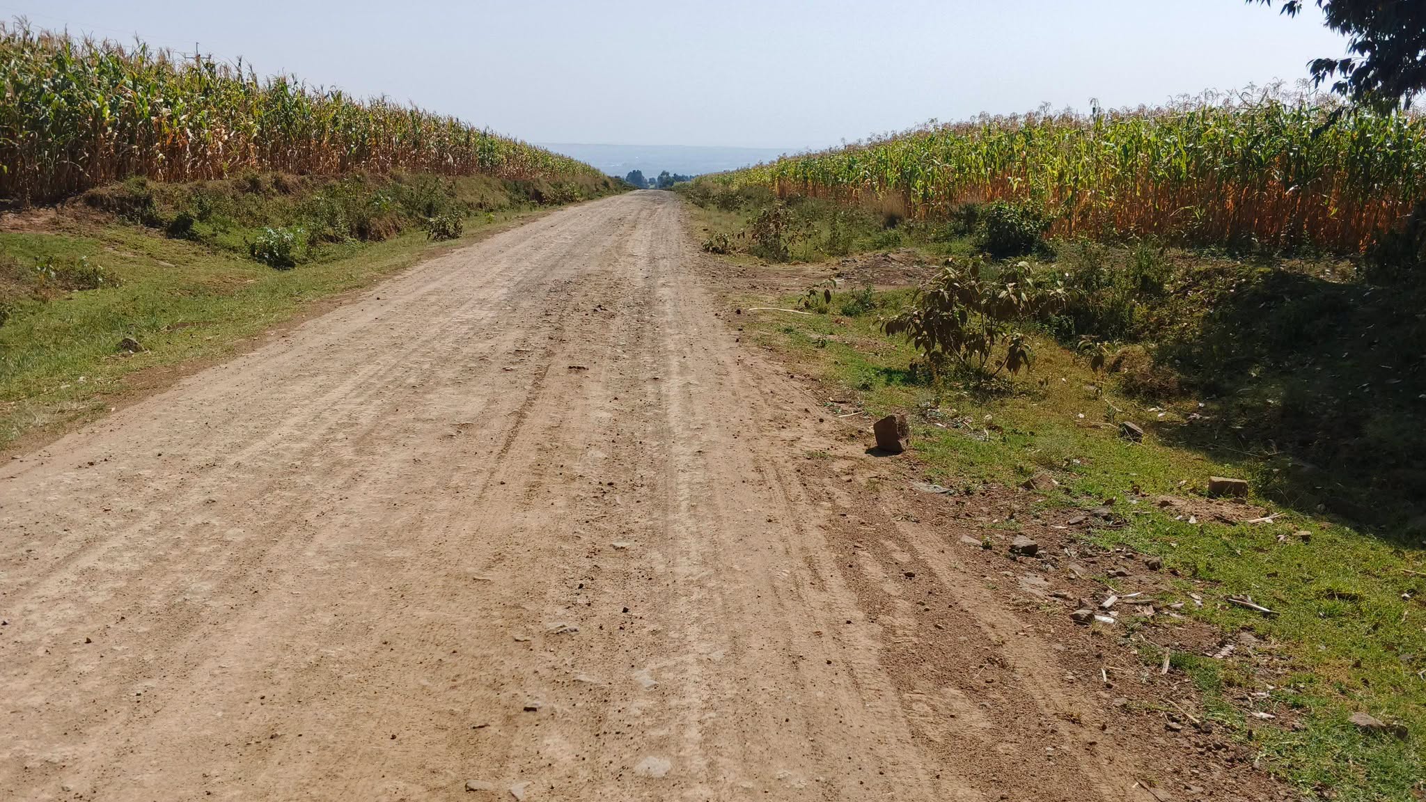 127 acre agricultural land for sale in Nakuru, Elburgon