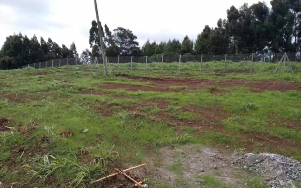 Land for sale in Ruiru Image