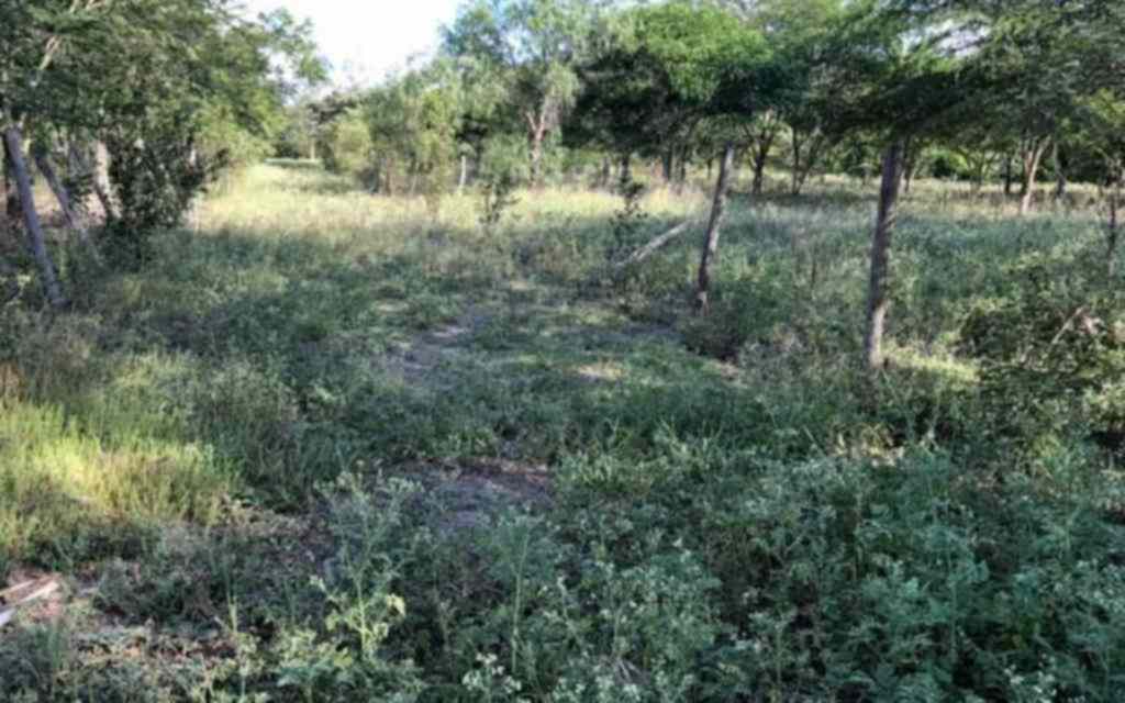 Land for sale in Kisaju kitengela