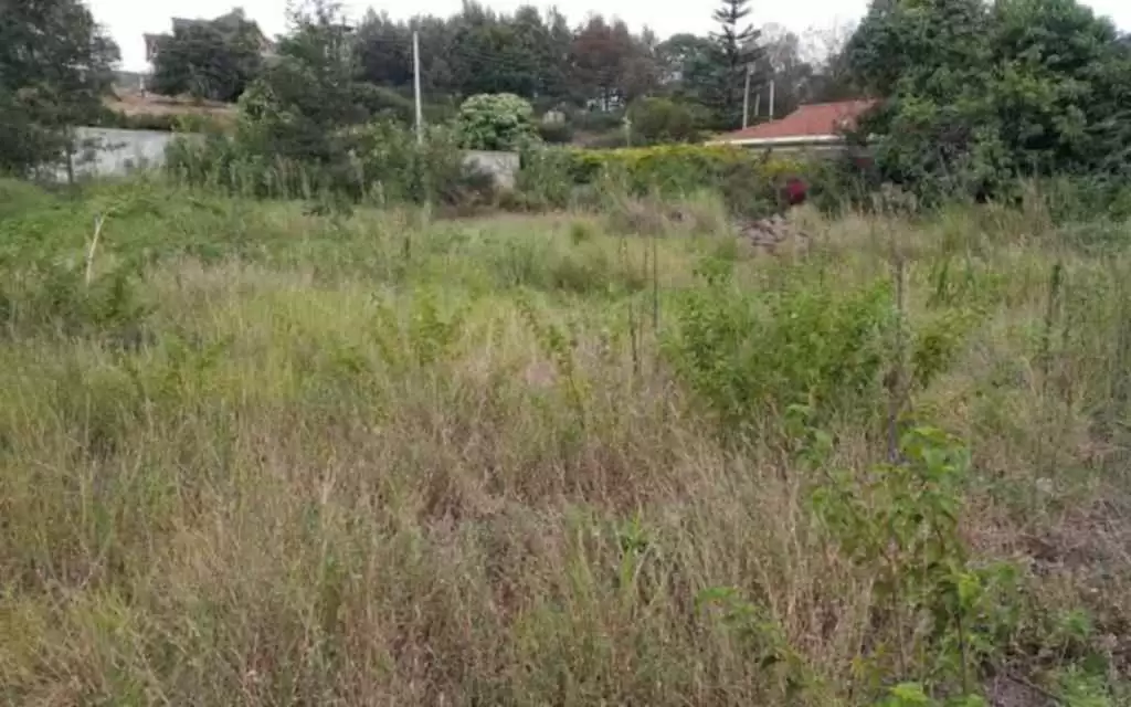 Land for sale in Runda Image