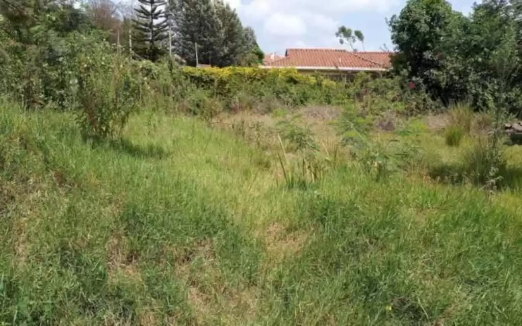 Land for sale in Runda Image