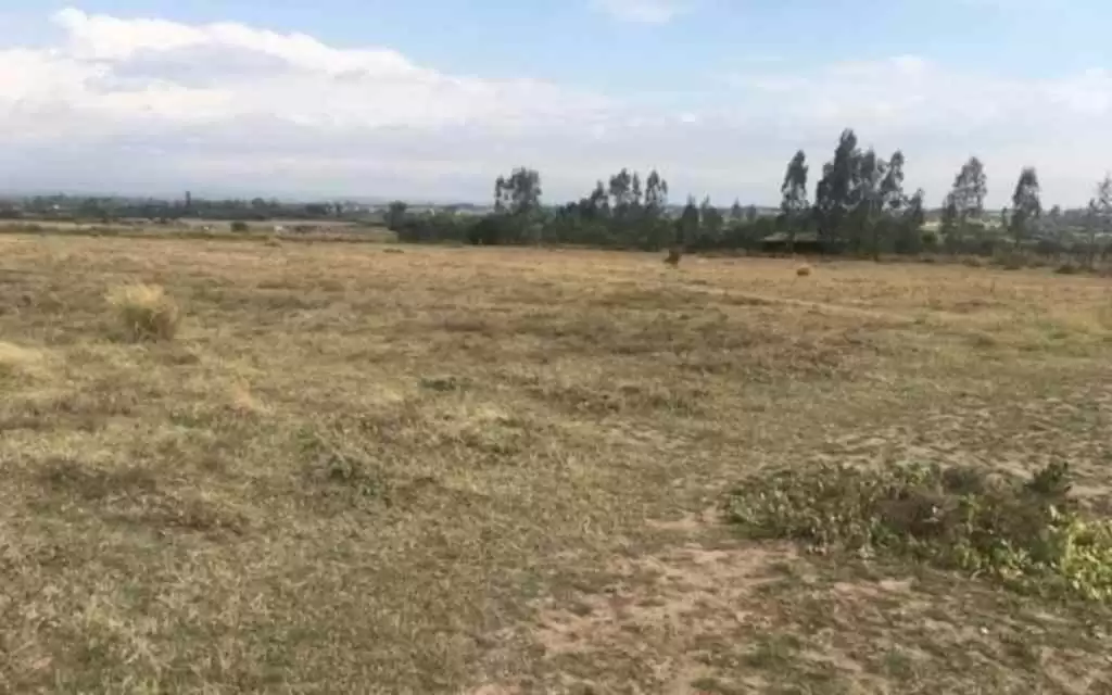 Land for sale in Nanyuki Image