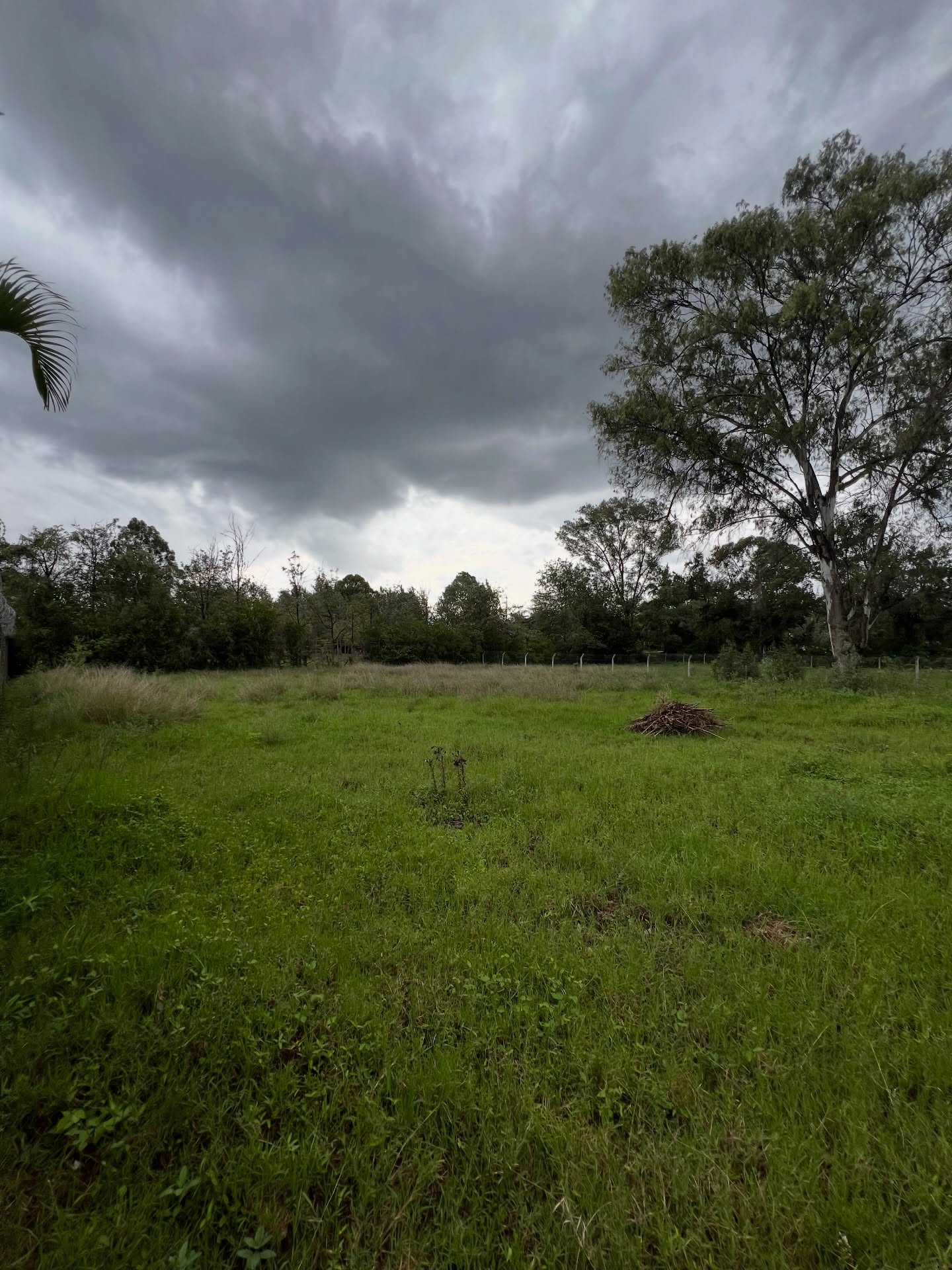 1/2acre land for sale in the leafy suburb of karen Image