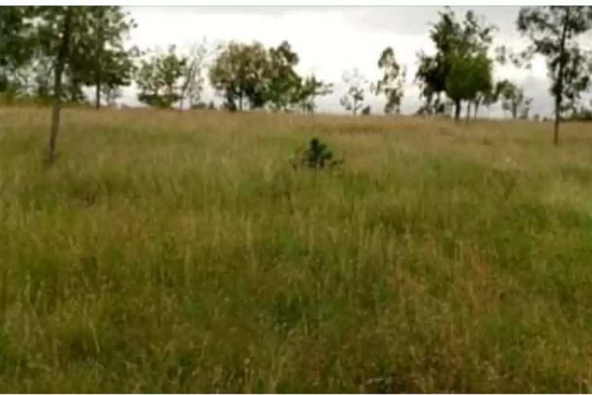 Ndunyu Njeru Kinangop Nyandarua 3 acres agricultural land for sale Image