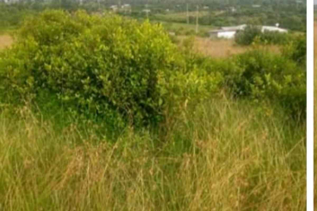 Kieni Mweiga Solio land for sale