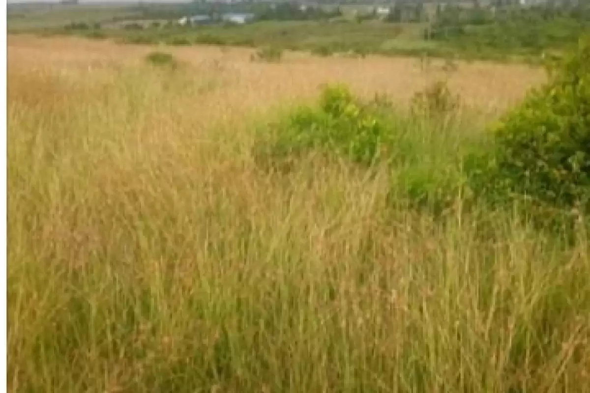 Kieni Mweiga Solio land for sale Image