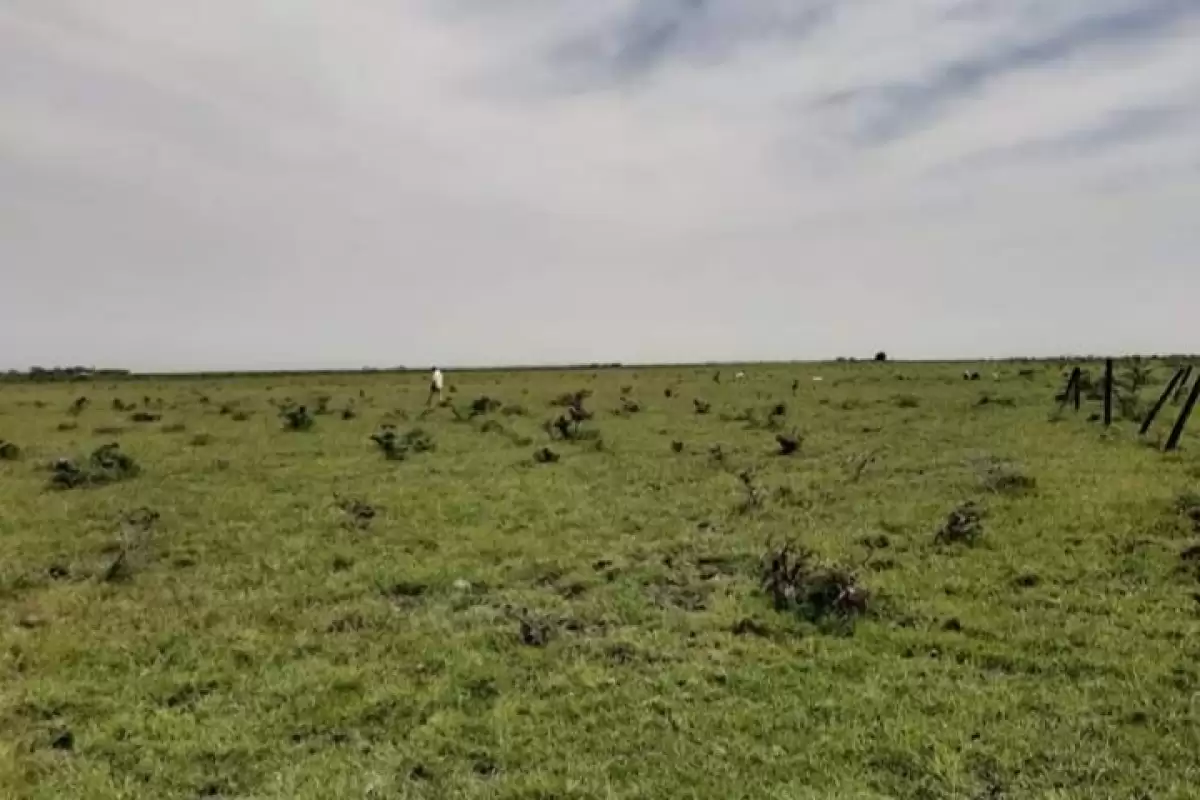 Naivasha Mai Mahiu Suswa SGR commercial land for sale Image