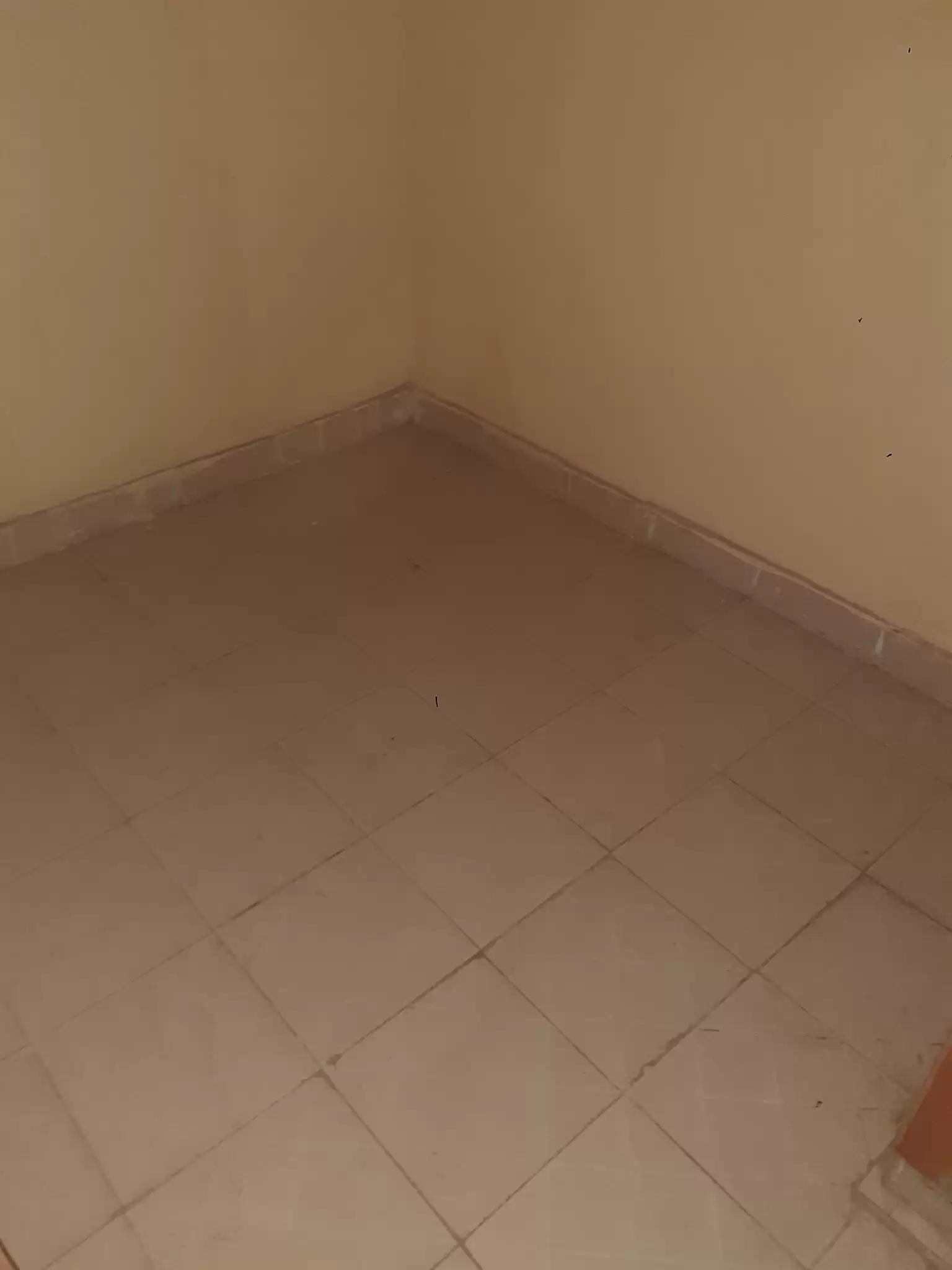 1 bedroom for rent in Ruiru Kamakis Eastern bypass Image