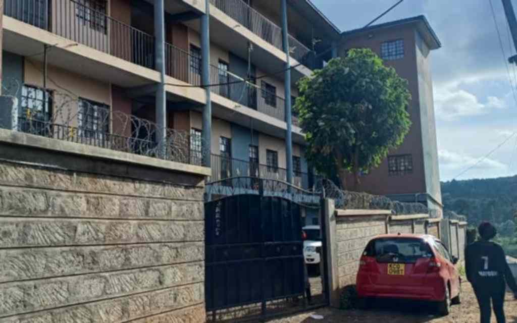 1 bedroom and bedsitter for rent in Dagoretti