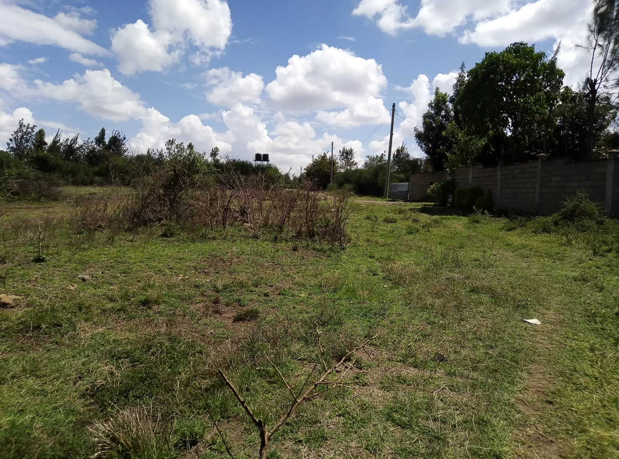 Plot for sale in Ruai Image