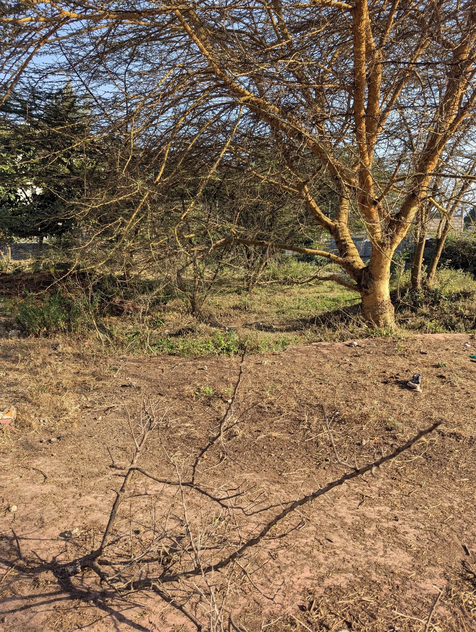 1/4 Acre and 1/8 Acre plot for sale in ngong, zambia