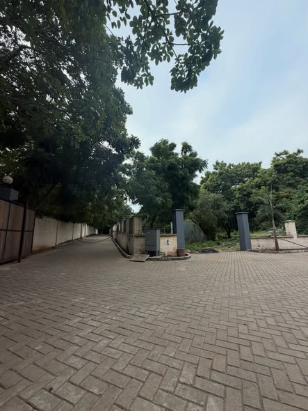 1/4 Acre Beachfront Plots for Sale in diani shopping center Image
