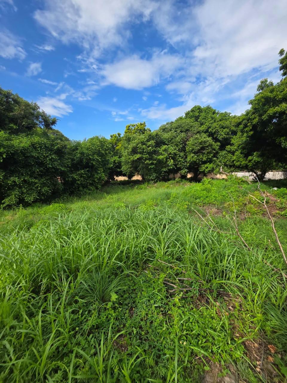 1/4 Acre Beachfront Plots for Sale in Diani Shopping Centre Area Image
