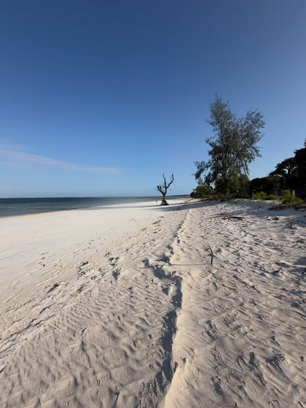 1/4 Acre Beachfront Plots for Sale in Diani Shopping Centre Area