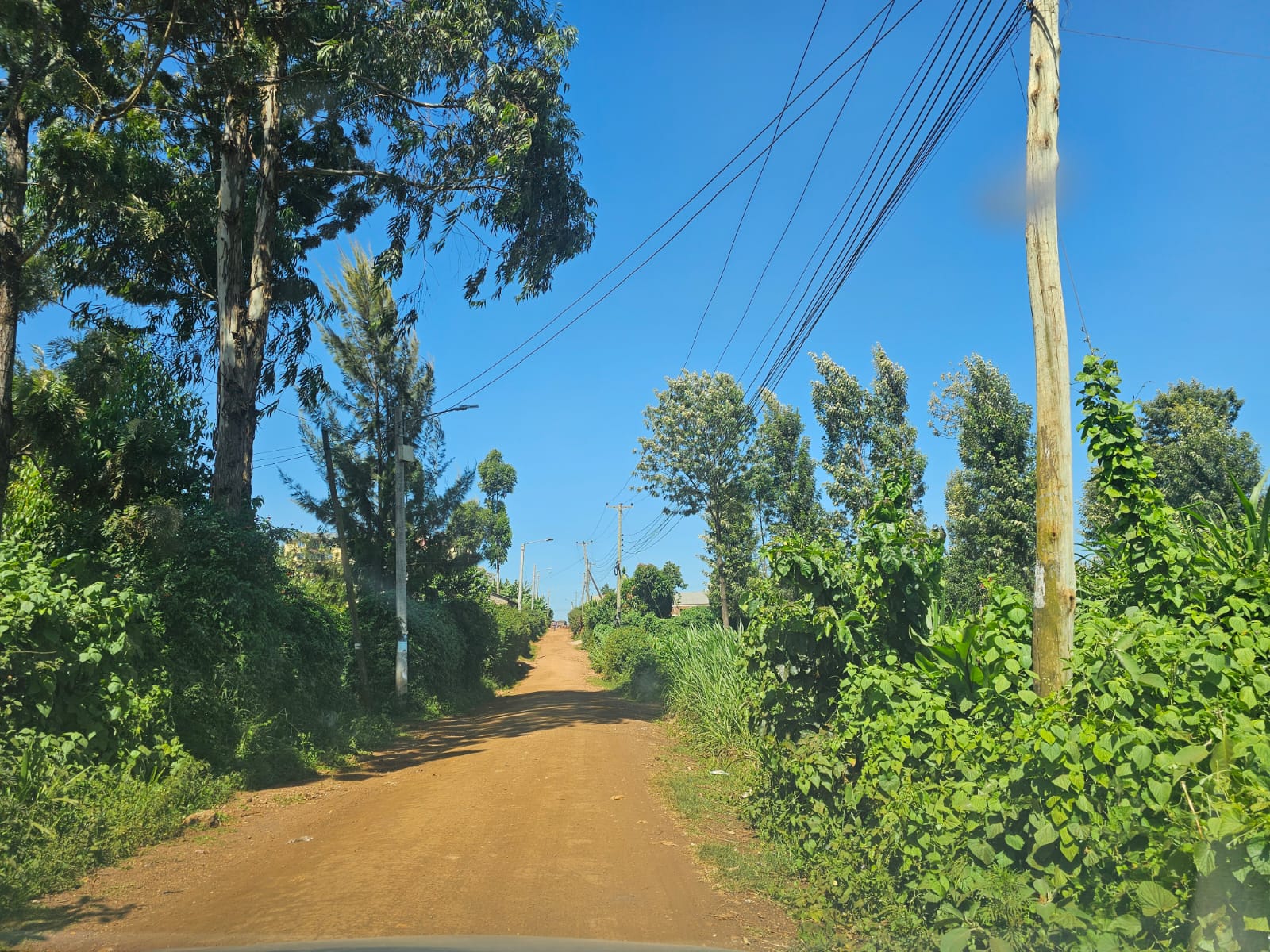 1/4 Acre Fenced Plot For Sale in Gachie Image