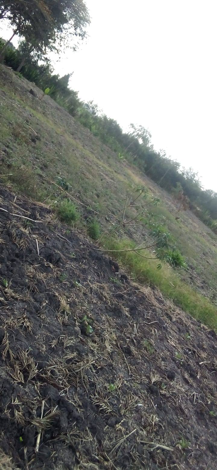 1/4 acre piece of land for sale in tuala, ongata rongai Image