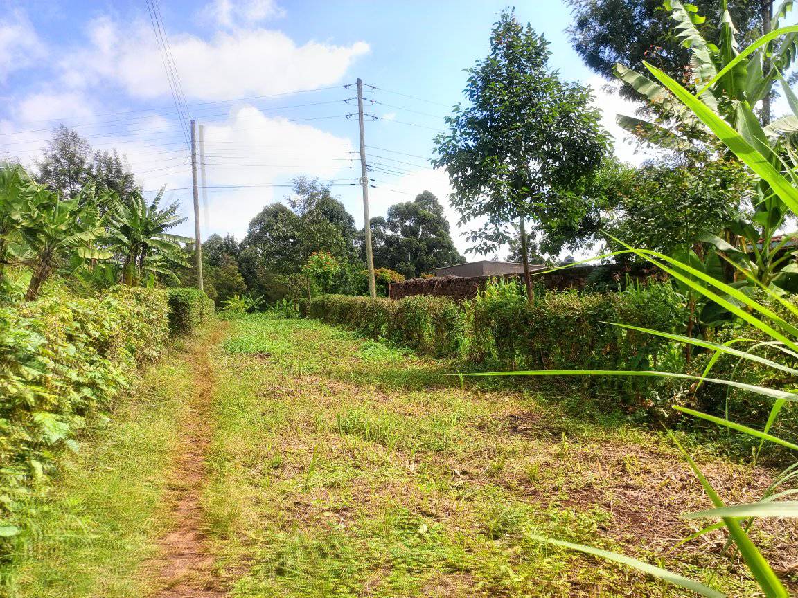 1/4 acre plot at karura ndenderu