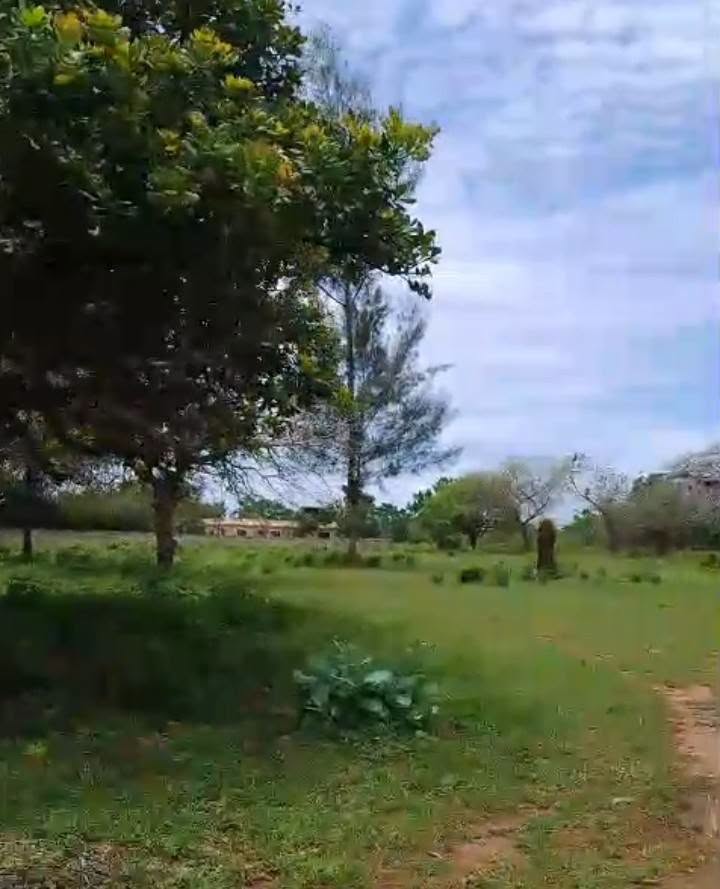 1/4 acre plot for sale in diani